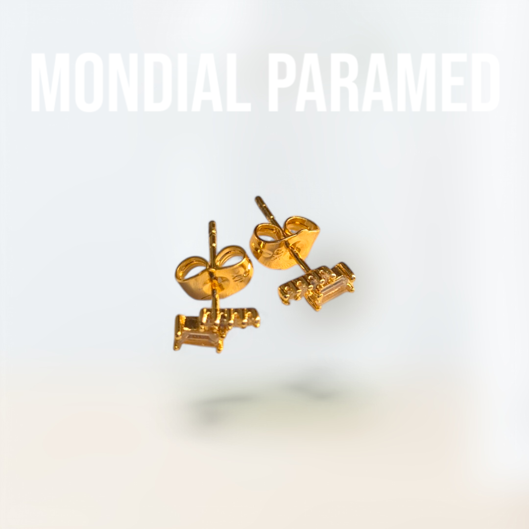 Boucle d'Oreilles #33