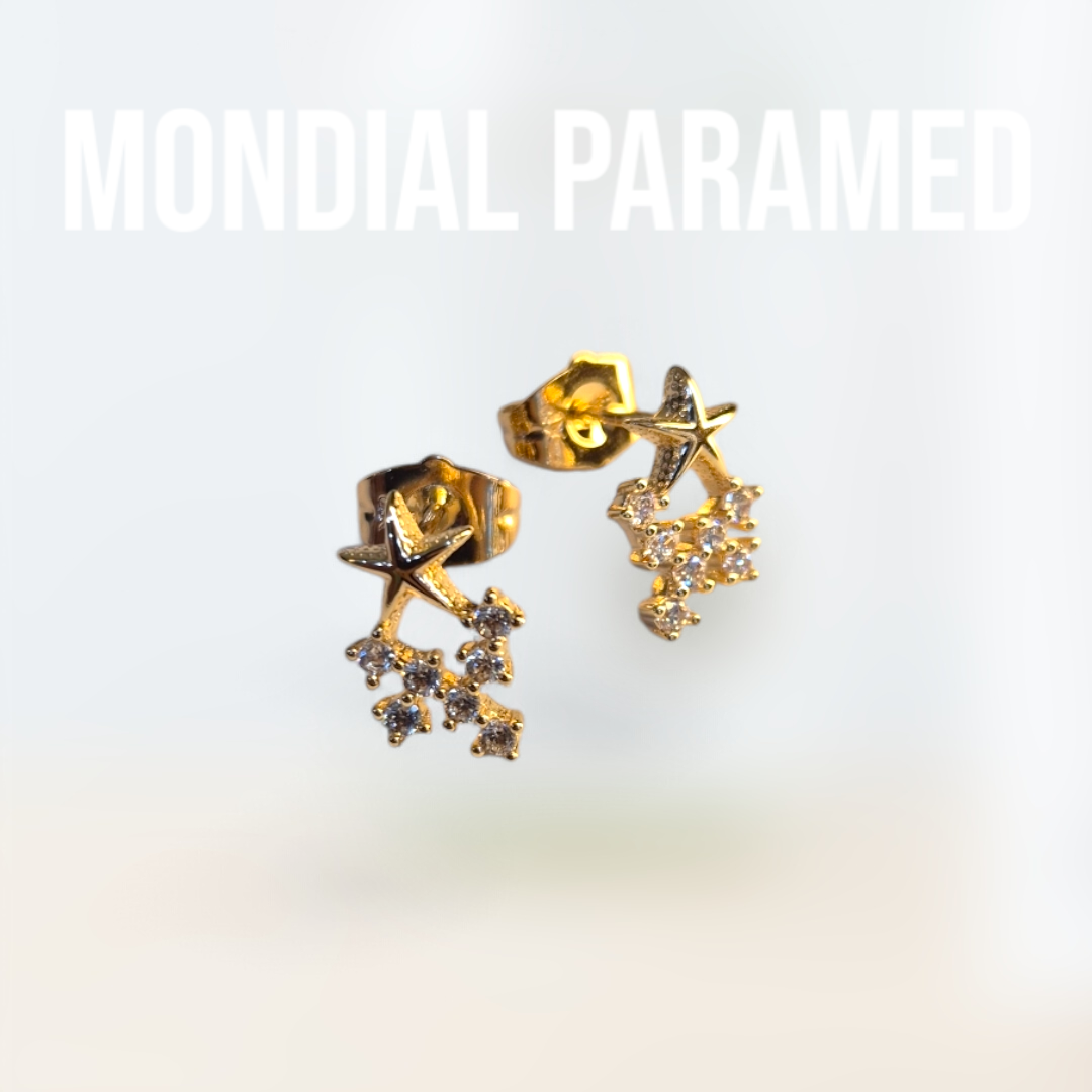 Boucle d'Oreilles #67