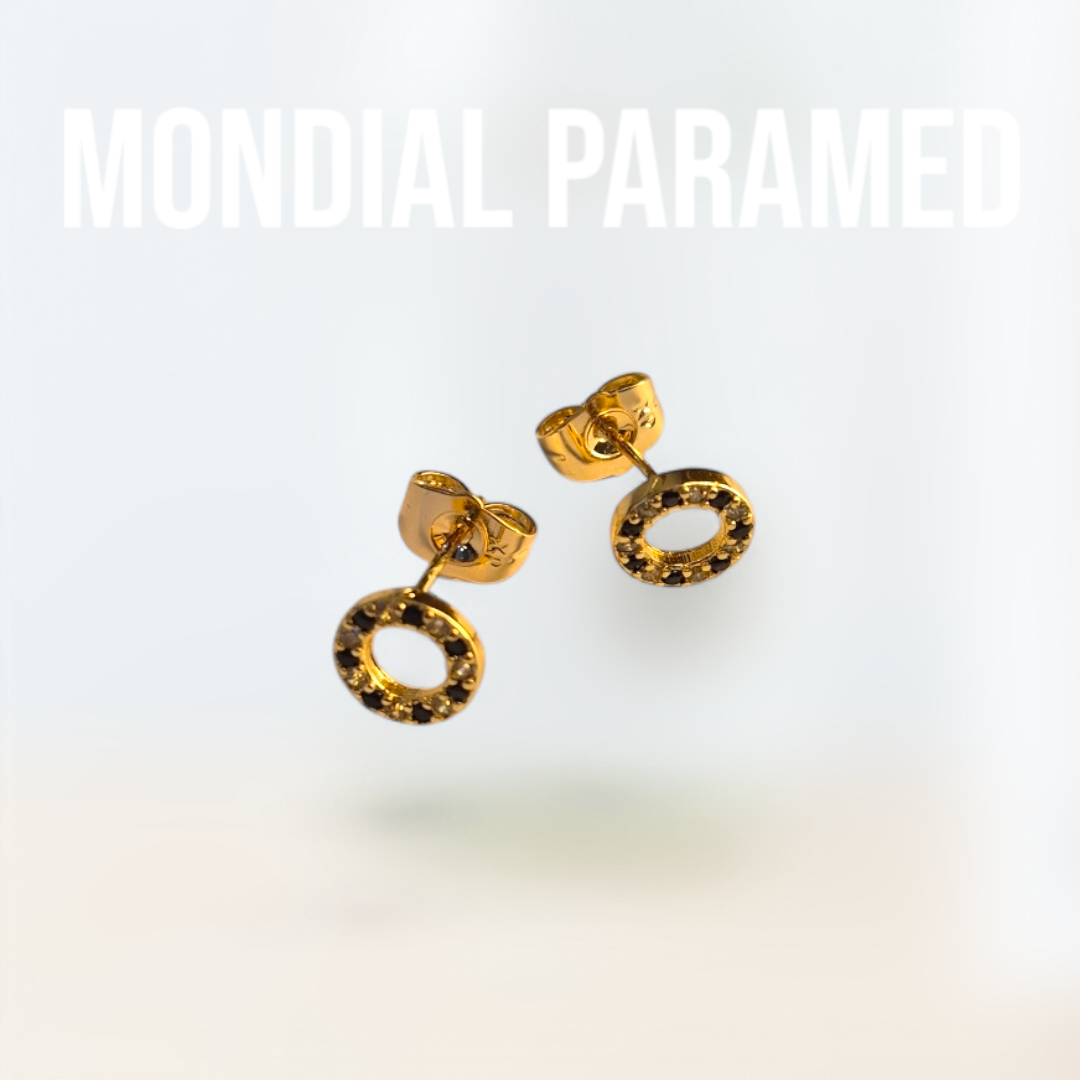 Boucle d'Oreilles #74