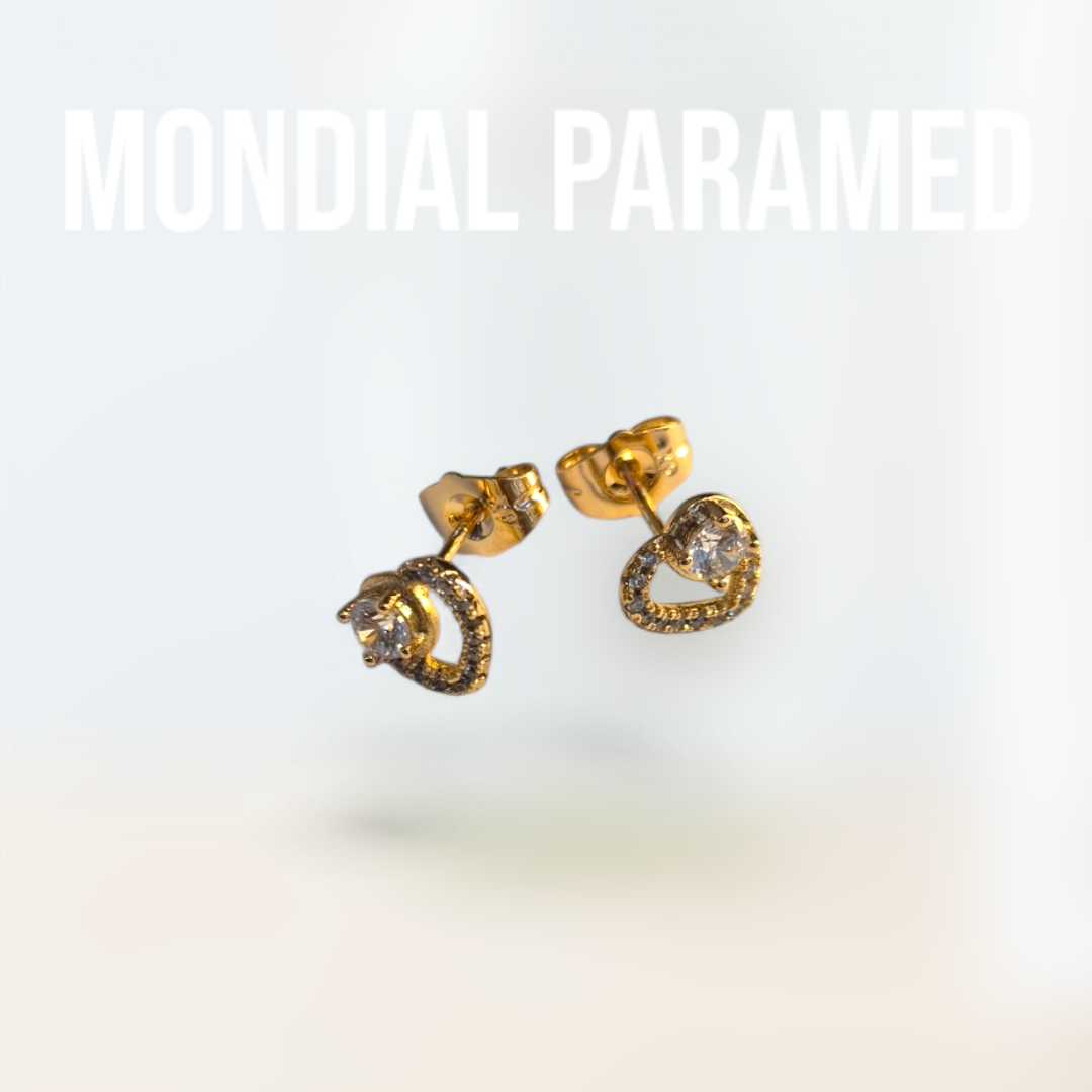 Boucle d'Oreilles #76