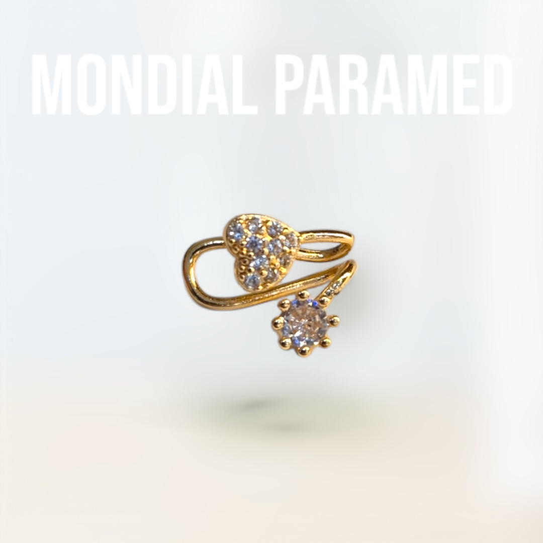 Boucle d'Oreilles #89