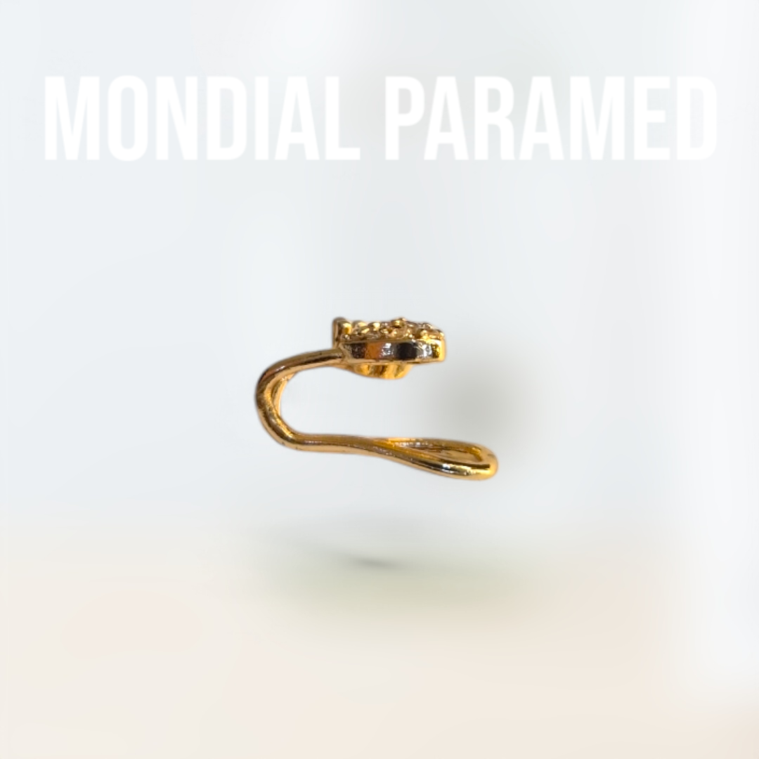 Boucle d'Oreilles #89
