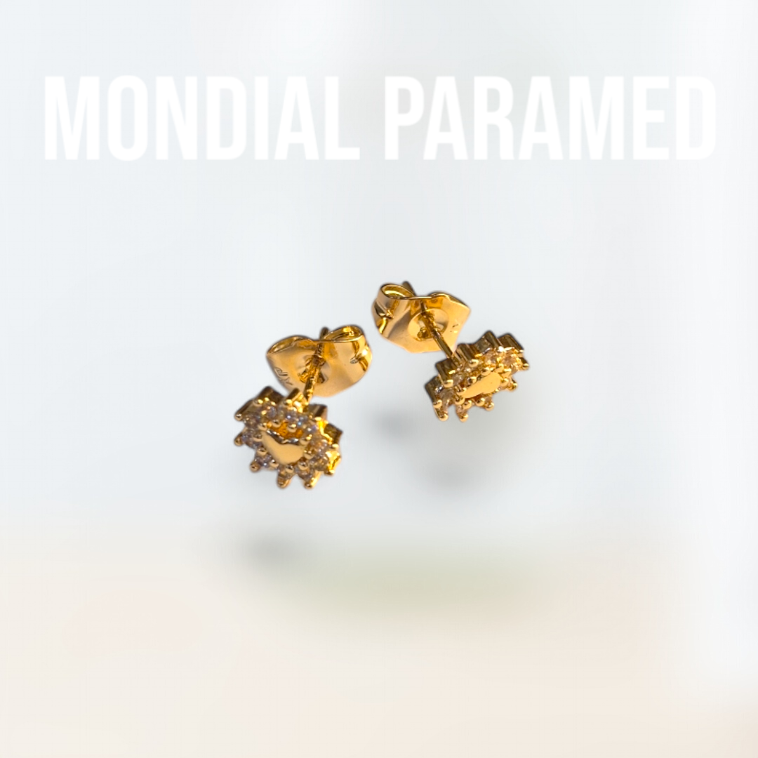 Boucle d'Oreilles #79