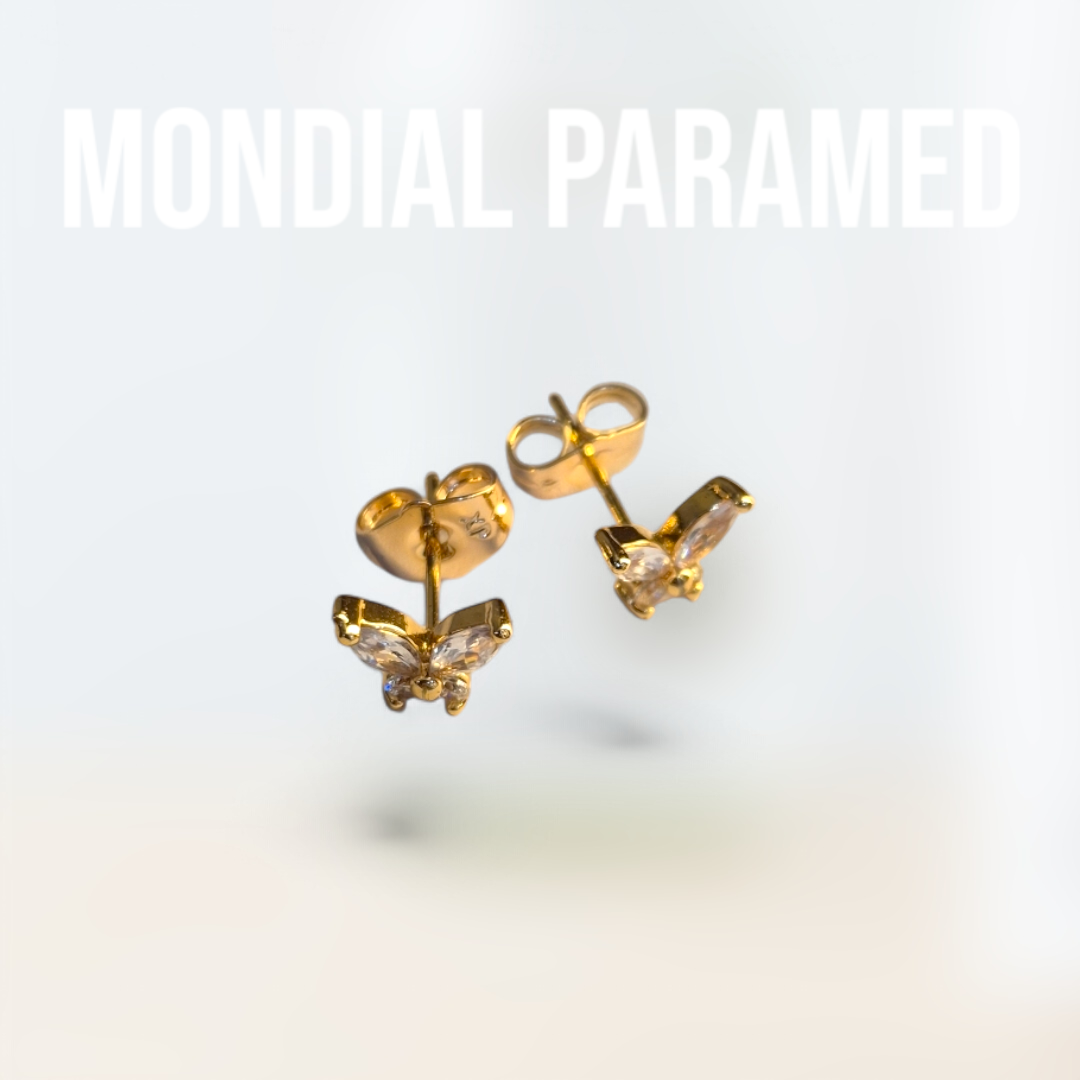 Boucle d'Oreilles #80