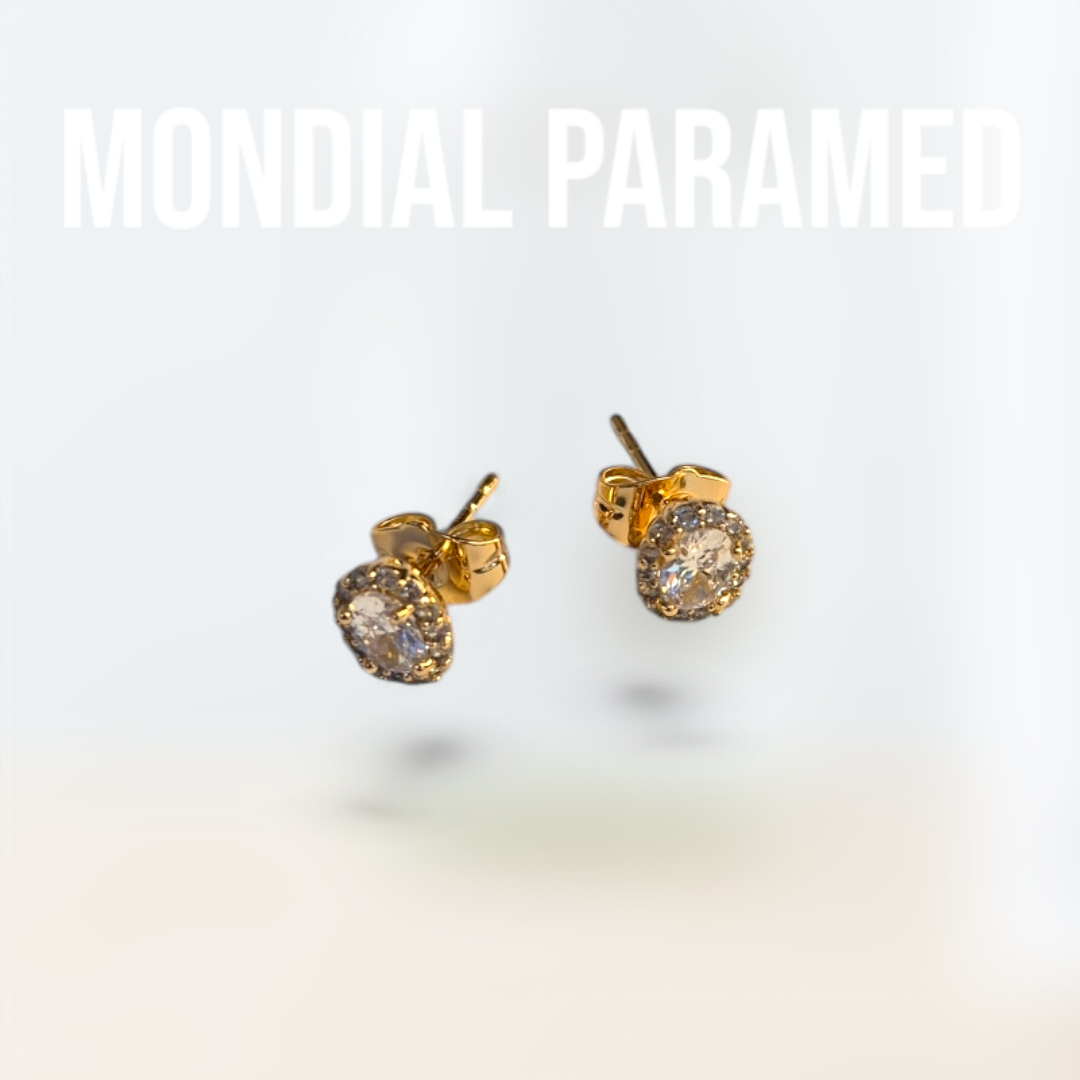 Boucle d'Oreilles #81