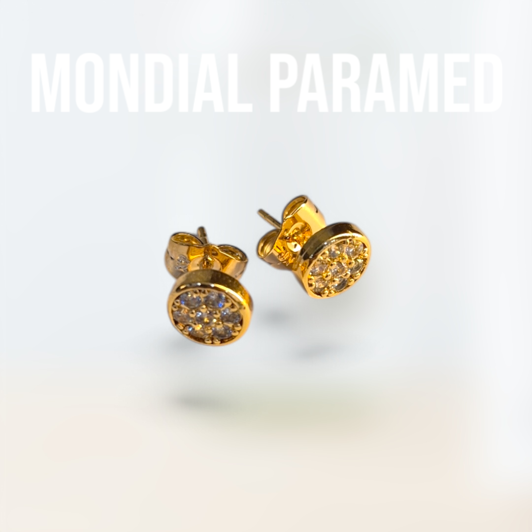 Boucle d'Oreilles #82