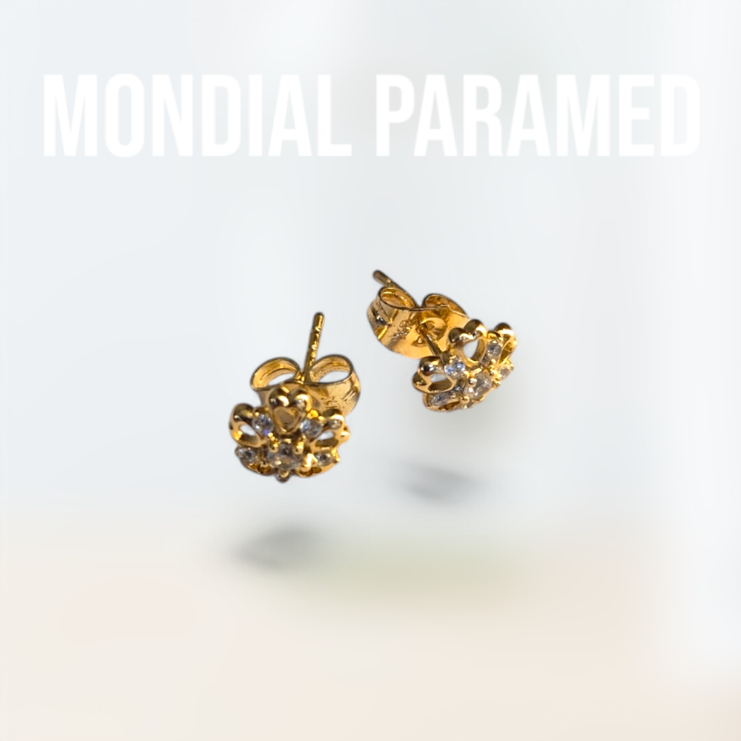 Boucle d'Oreilles #83