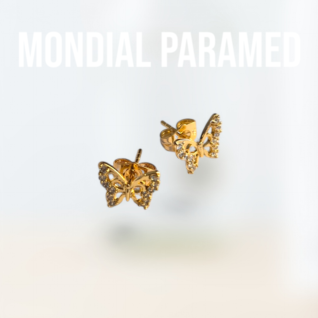 Boucle d'Oreilles #84
