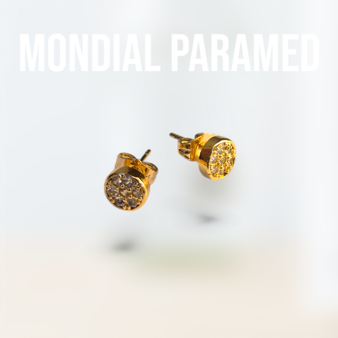 Boucle d'Oreilles #85