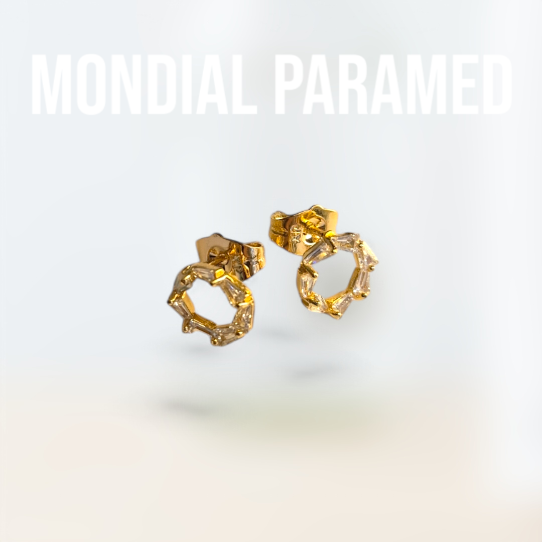 Boucle d'Oreilles #86