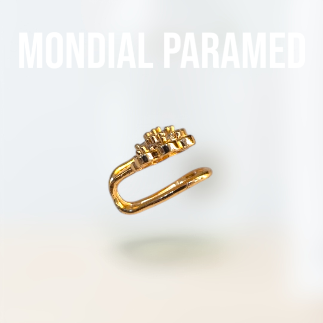 Boucle d'Oreilles #90