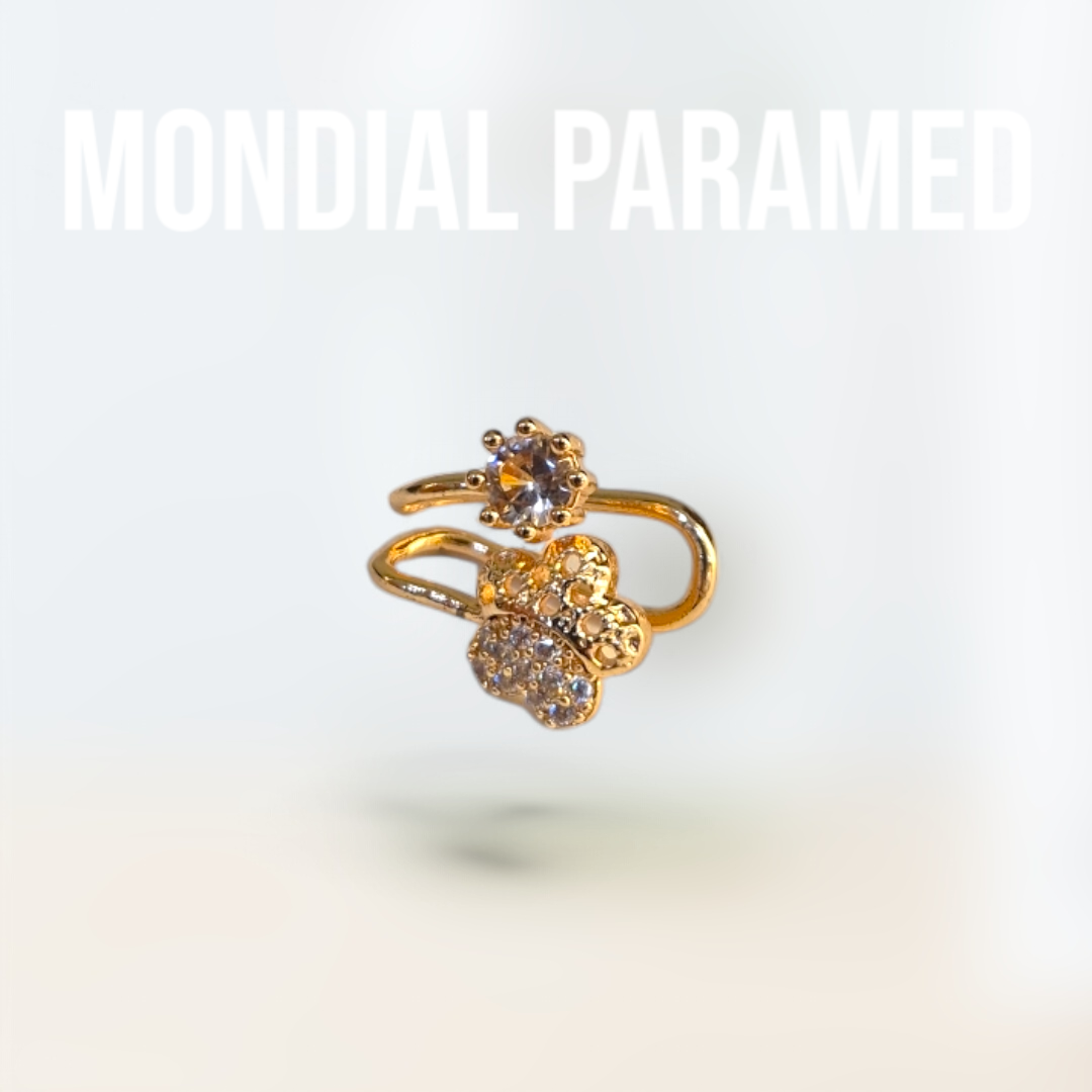 Boucle d'Oreilles #91