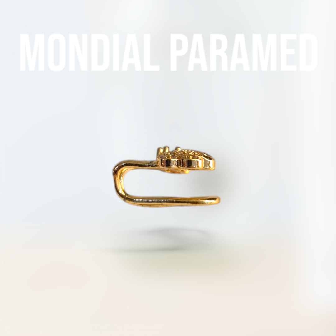 Boucle d'Oreilles #91