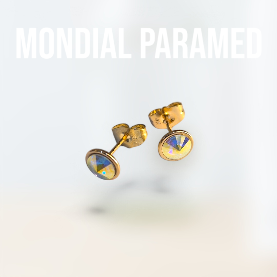 Boucle d'Oreilles #54