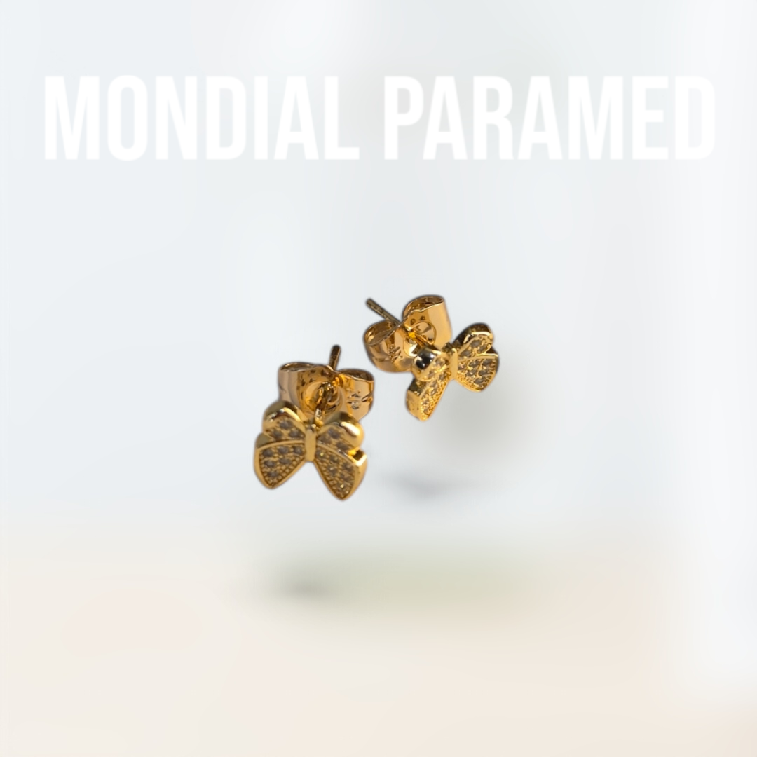 Boucle d'Oreilles #120