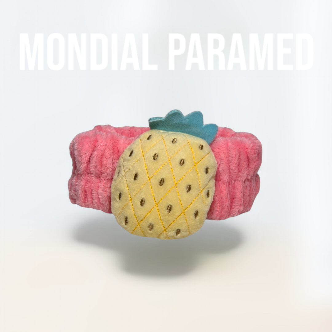 Bandeau Cheveux