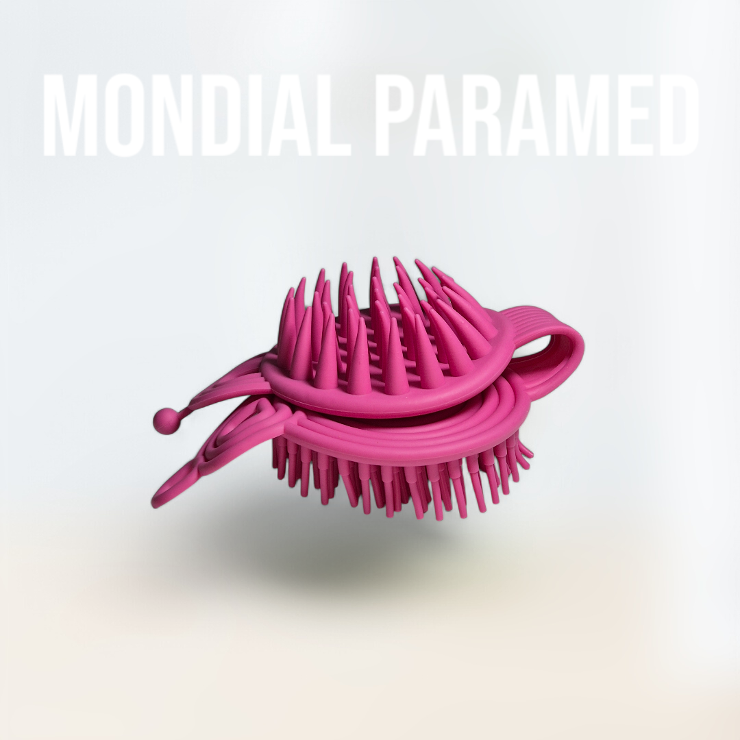 Brosse Massage Cheveux